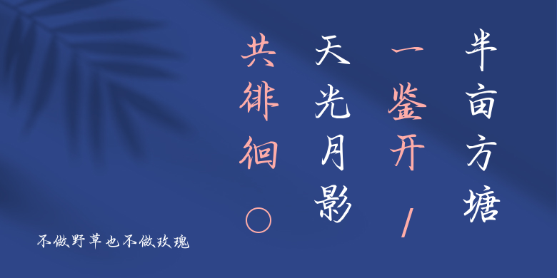 不做野草也不做玫瑰