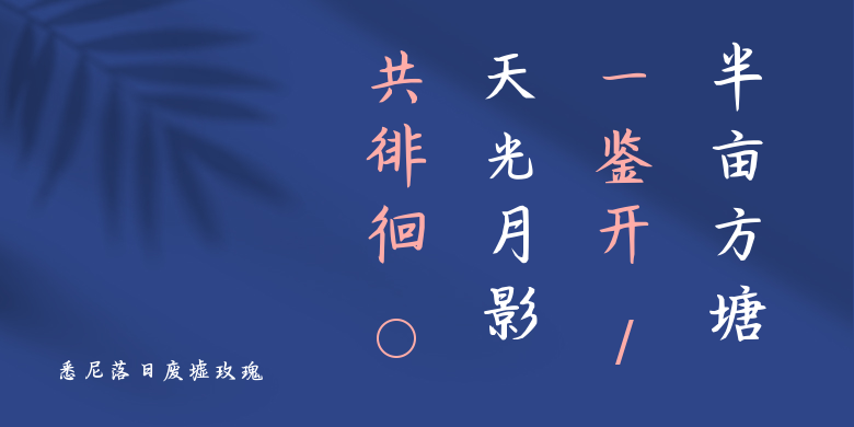 悉尼落日废墟玫瑰